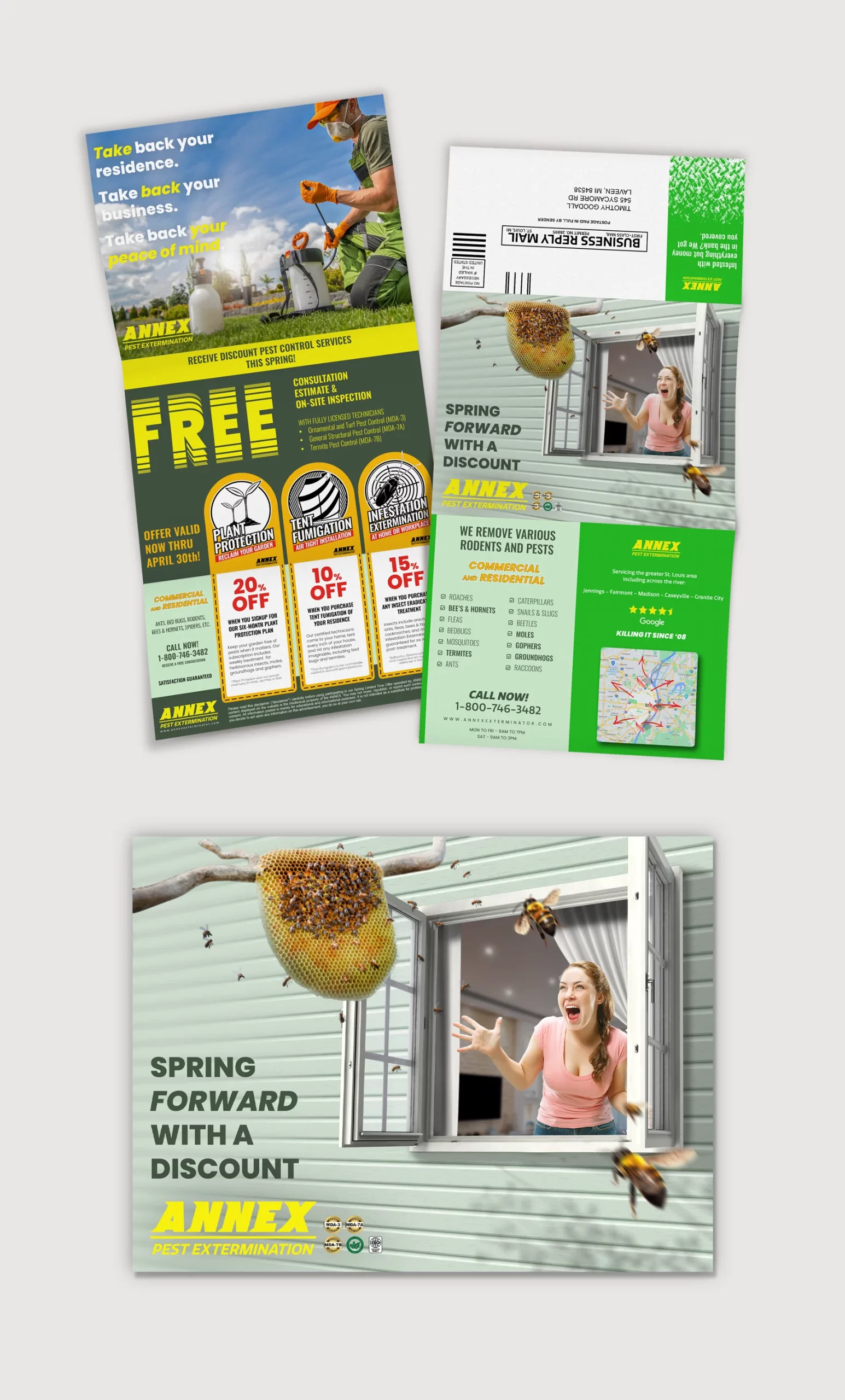 direct mail trifold flyer graphic design for pest control client